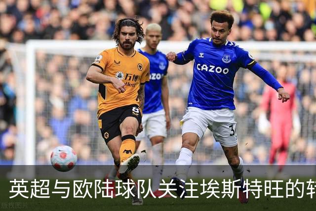 英超与欧陆球队关注埃斯特旺的转会动态