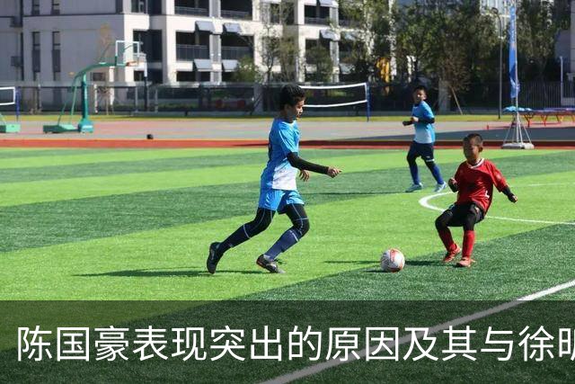 陈国豪表现突出的原因及其与徐昕的比较分析